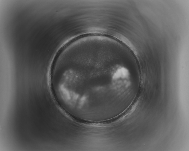 X0000101701037200807311428