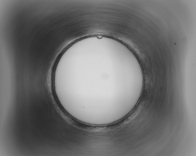 X0000101701038200807311428