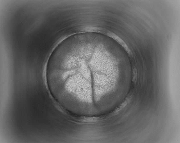 X0000101701039200807311428