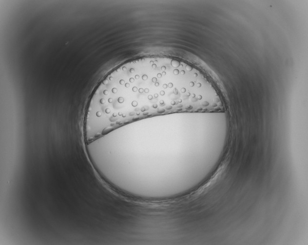 X0000101701041200807311428