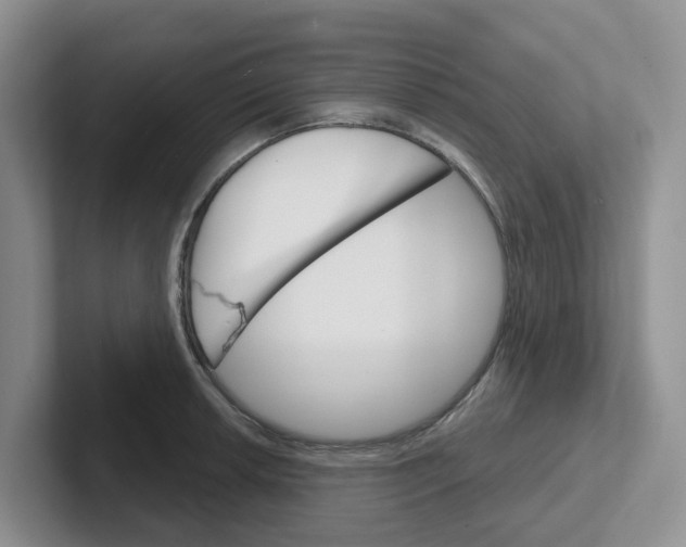 X0000101701042200807311428