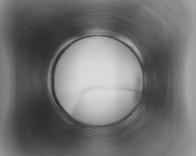 X0000101701043200807311428