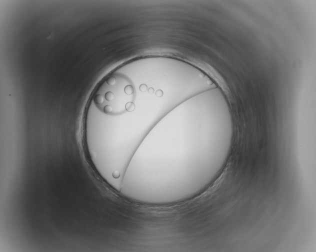 X0000101701044200807311428