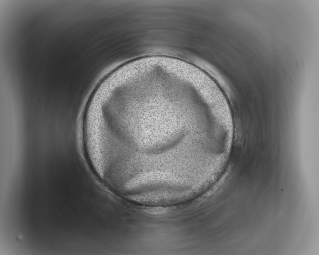 X0000101701048200807311428