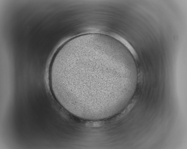 X0000101701051200807311428