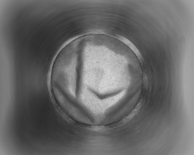 X0000101701052200807311428