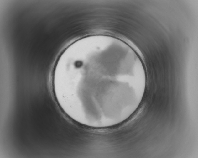 X0000101701053200807311428