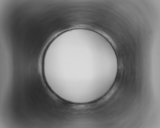 X0000101701054200807311428