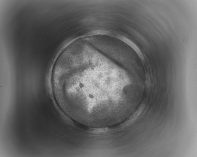 X0000101701055200807311428