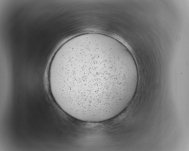 X0000101701056200807311428