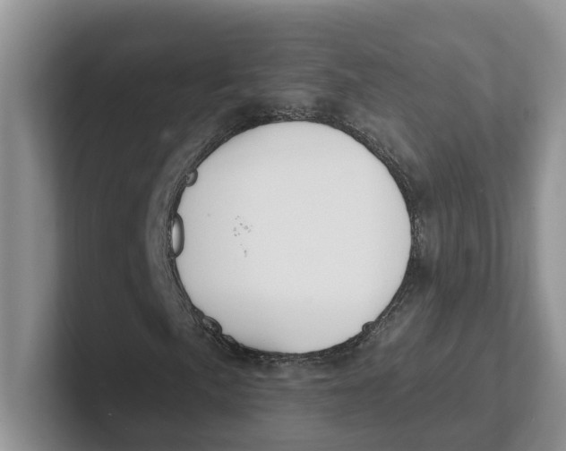 X0000101701057200807311427