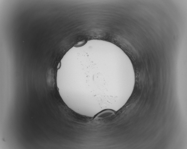 X0000101701058200807311427