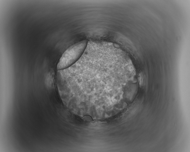 X0000101701059200807311427