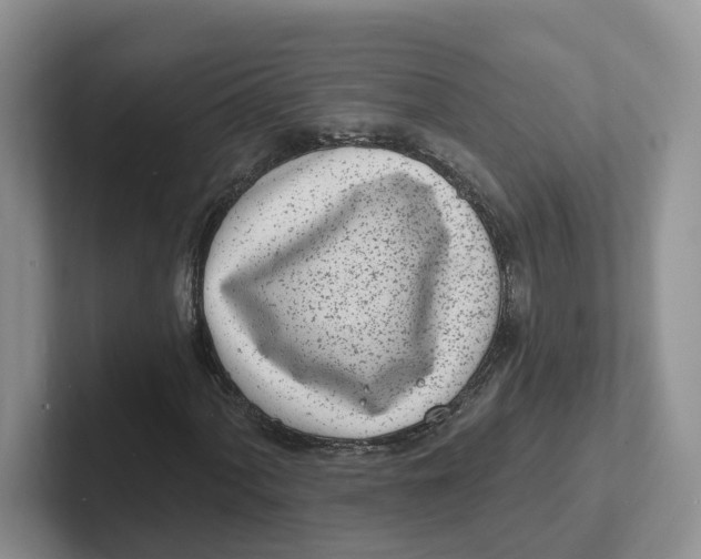 X0000101701060200807311427