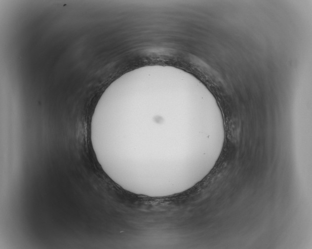 X0000101701061200807311427