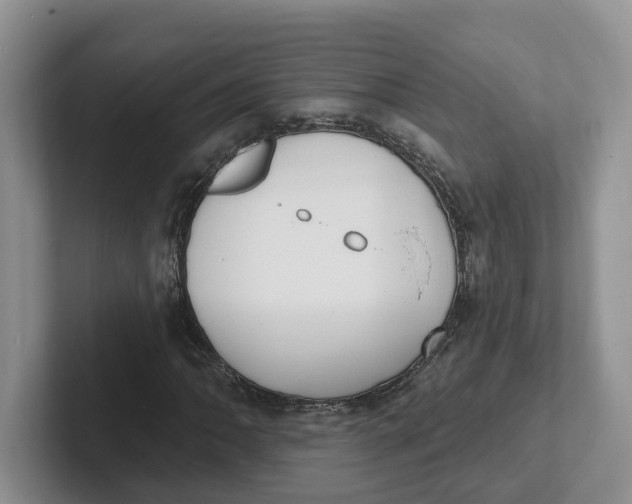 X0000101701062200807311427