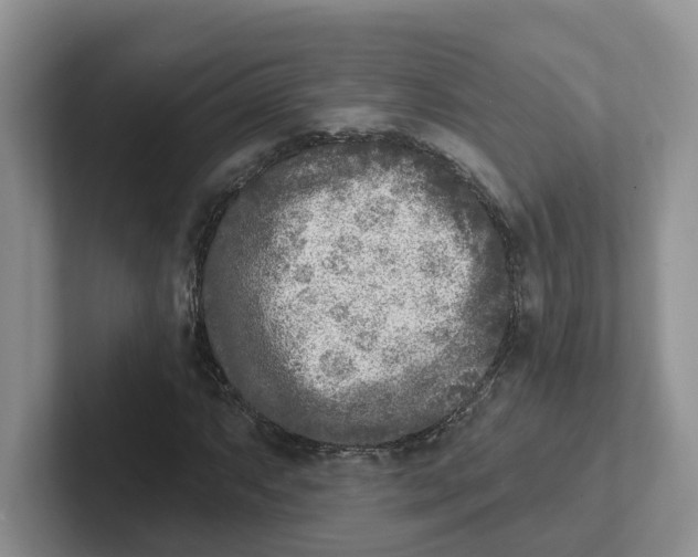 X0000101701063200807311427