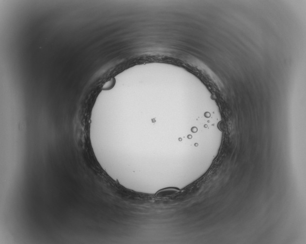 X0000101701064200807311427