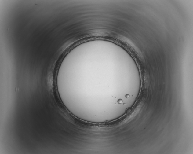 X0000101701065200807311427