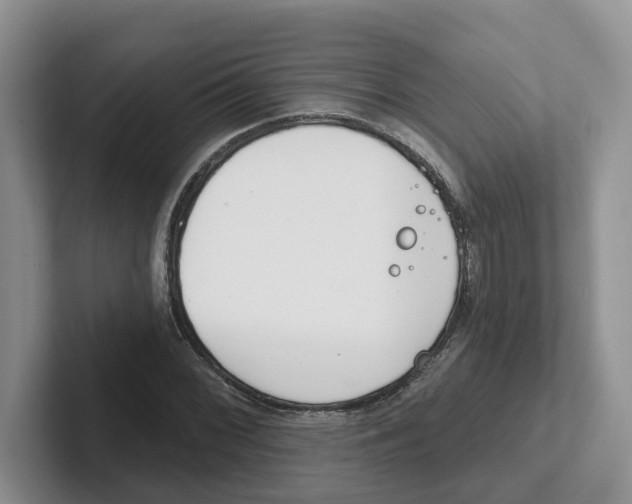 X0000101701068200807311427