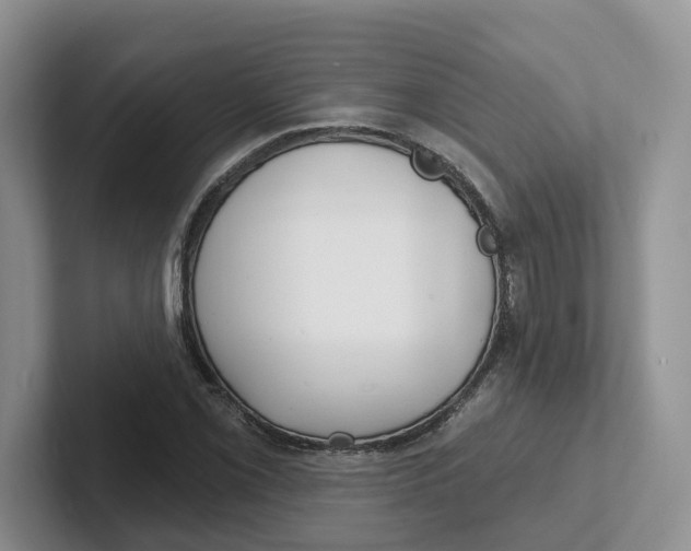 X0000101701069200807311427