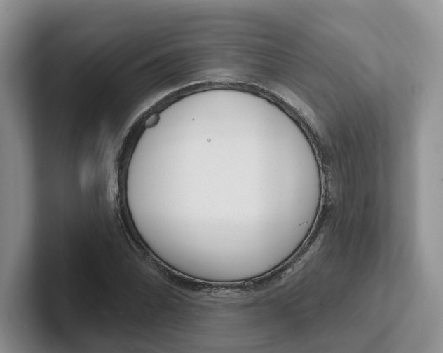 X0000101701070200807311427