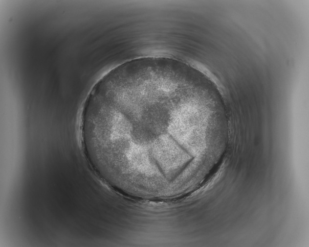 X0000101701071200807311427