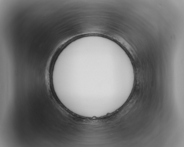 X0000101701072200807311427