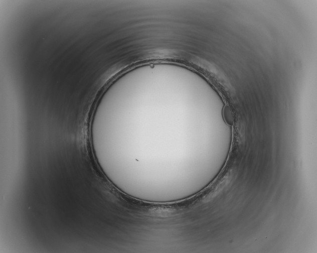 X0000101701073200807311427