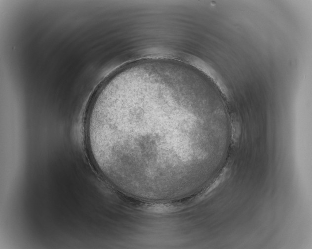 X0000101701074200807311427