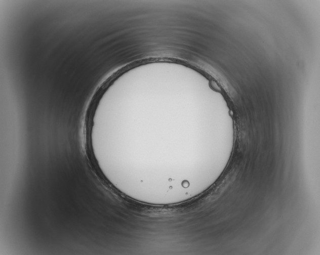 X0000101701076200807311427