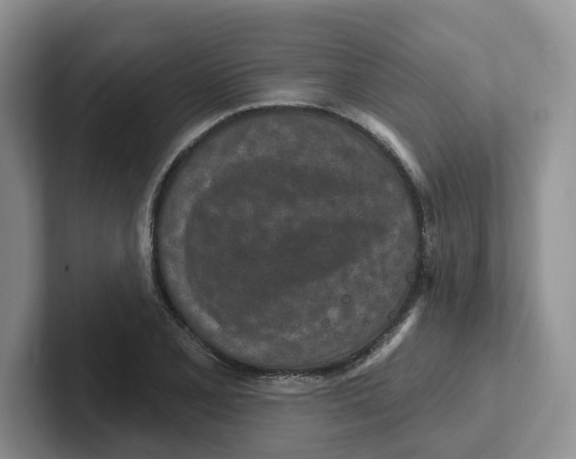 X0000101701077200807311427