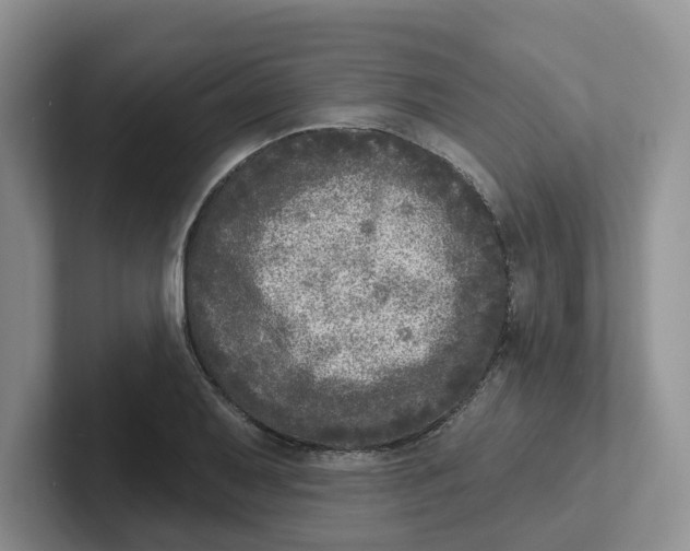 X0000101701079200807311427