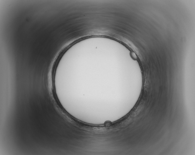 X0000101701080200807311427