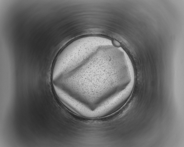 X0000101701081200807311427