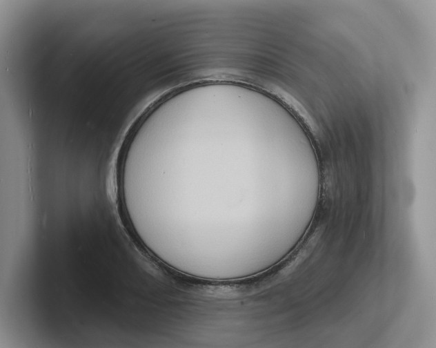 X0000101701082200807311427