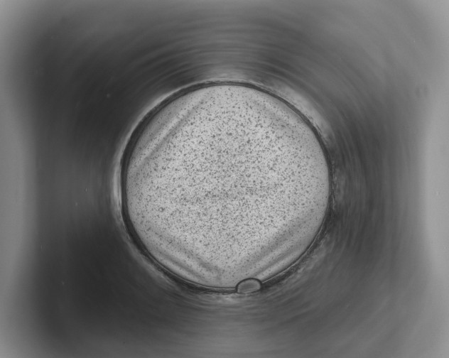 X0000101701084200807311427