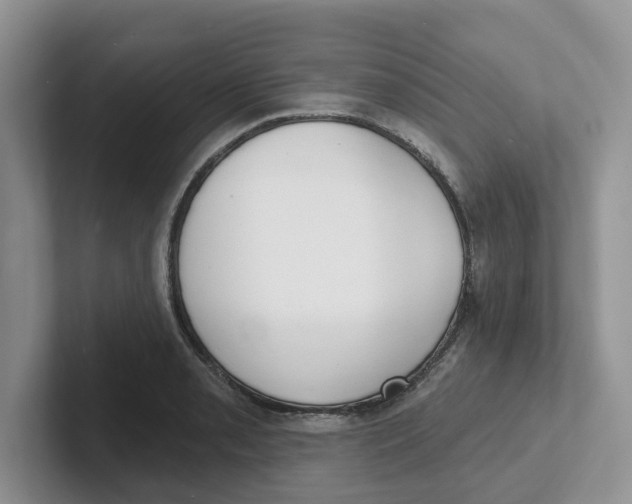 X0000101701085200807311427