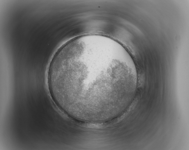 X0000101701086200807311427