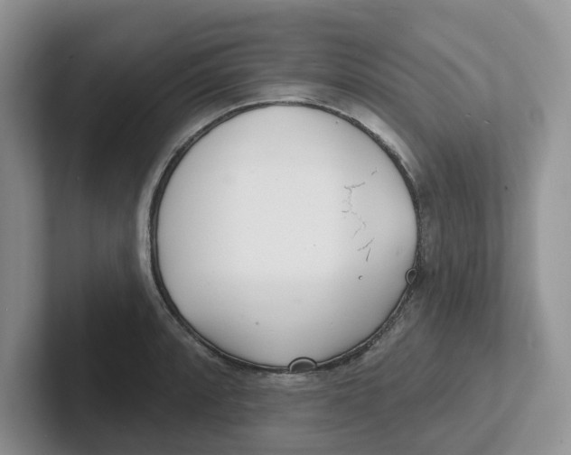 X0000101701088200807311427