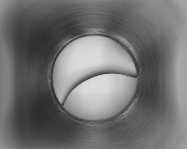 X0000101701089200807311427