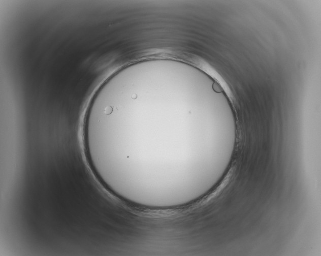 X0000101701090200807311427