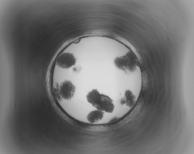 X0000101701091200807311427