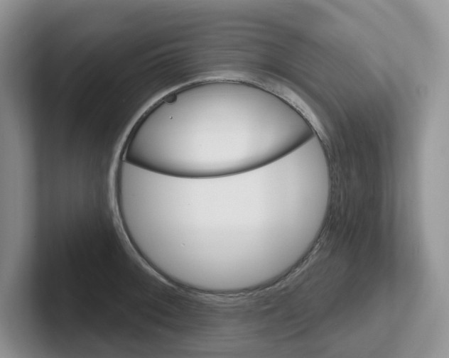 X0000101701092200807311427