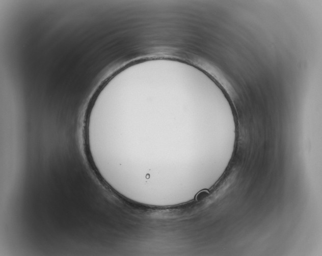 X0000101701093200807311427