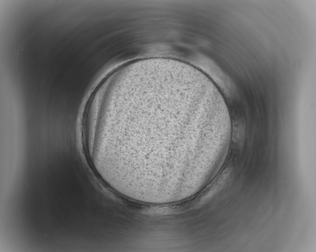 X0000101701094200807311427