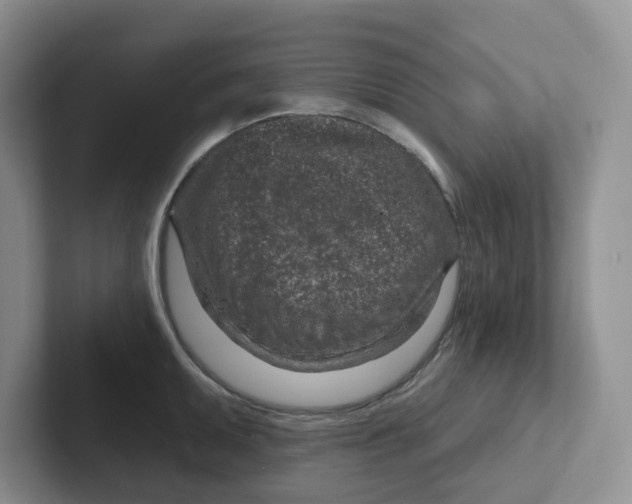 X0000101701095200807311427