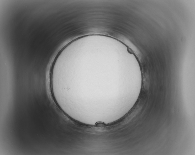 X0000101701096200807311427