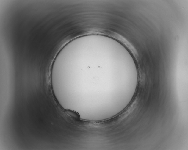 X0000101701097200807311427