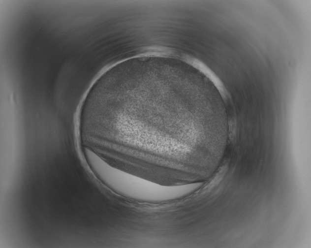 X0000101701099200807311427